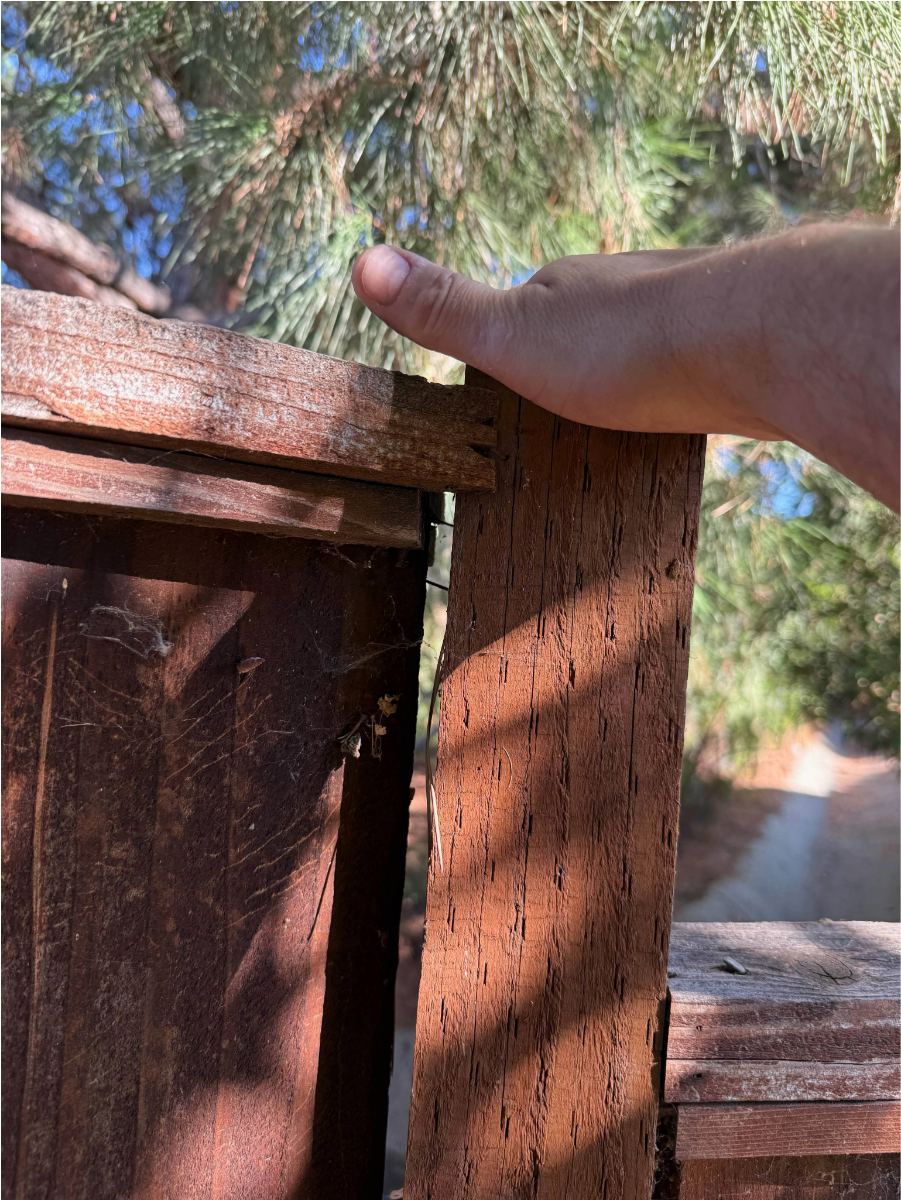 Checks and splits in a weathered gate post